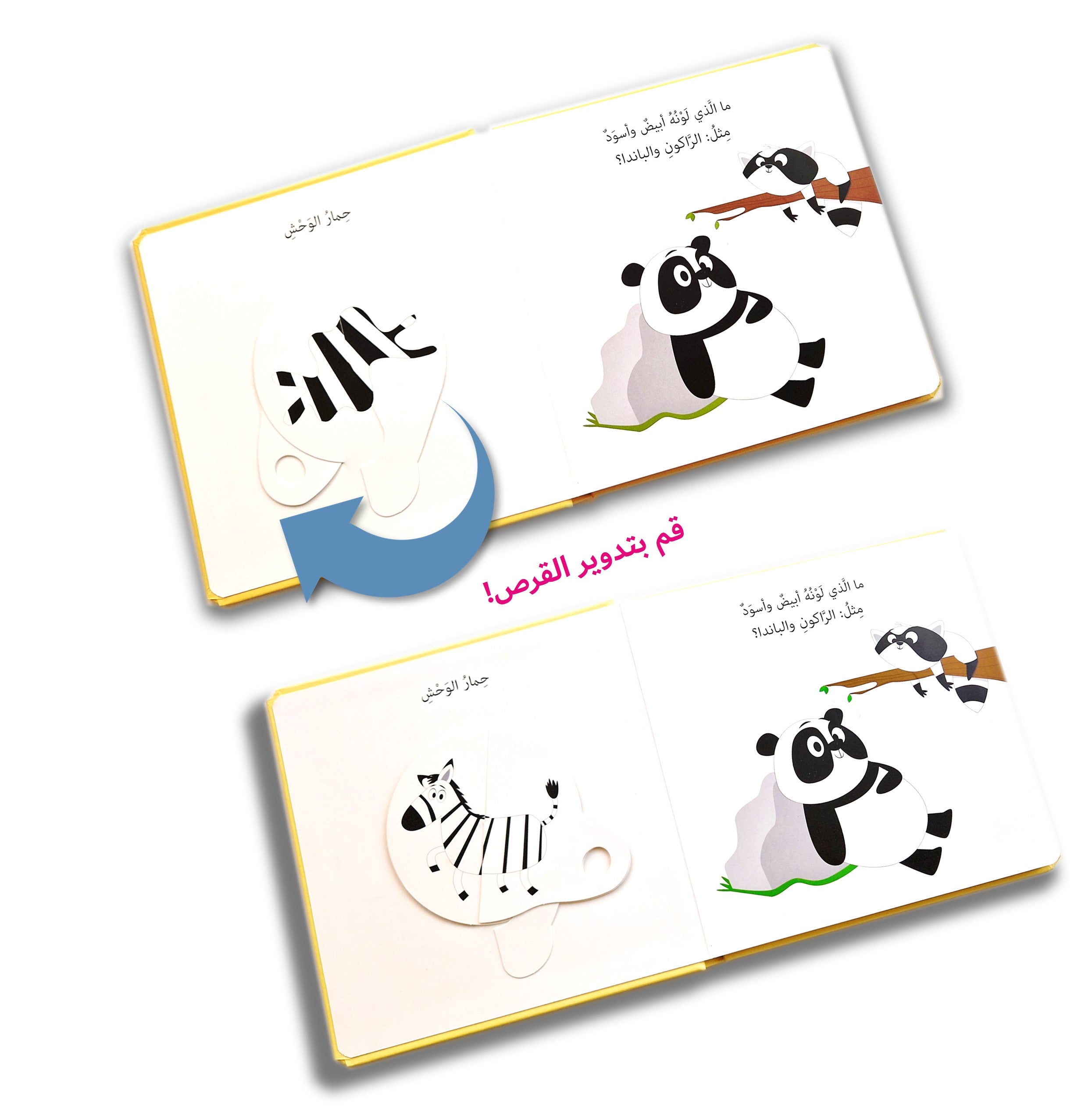 دور واكتشف - الألوان