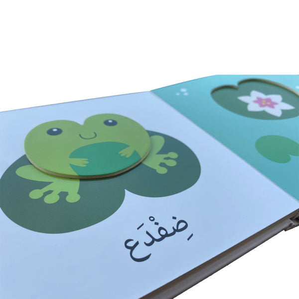 إكتشافات للأيدي الصغيرة - الحيوانات