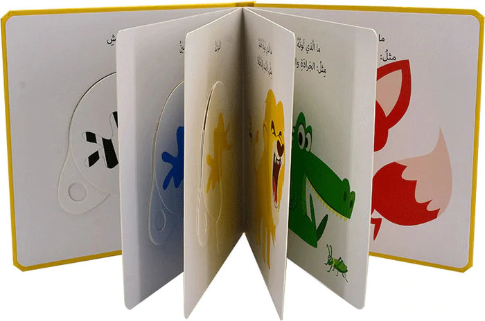 دور واكتشف - الألوان