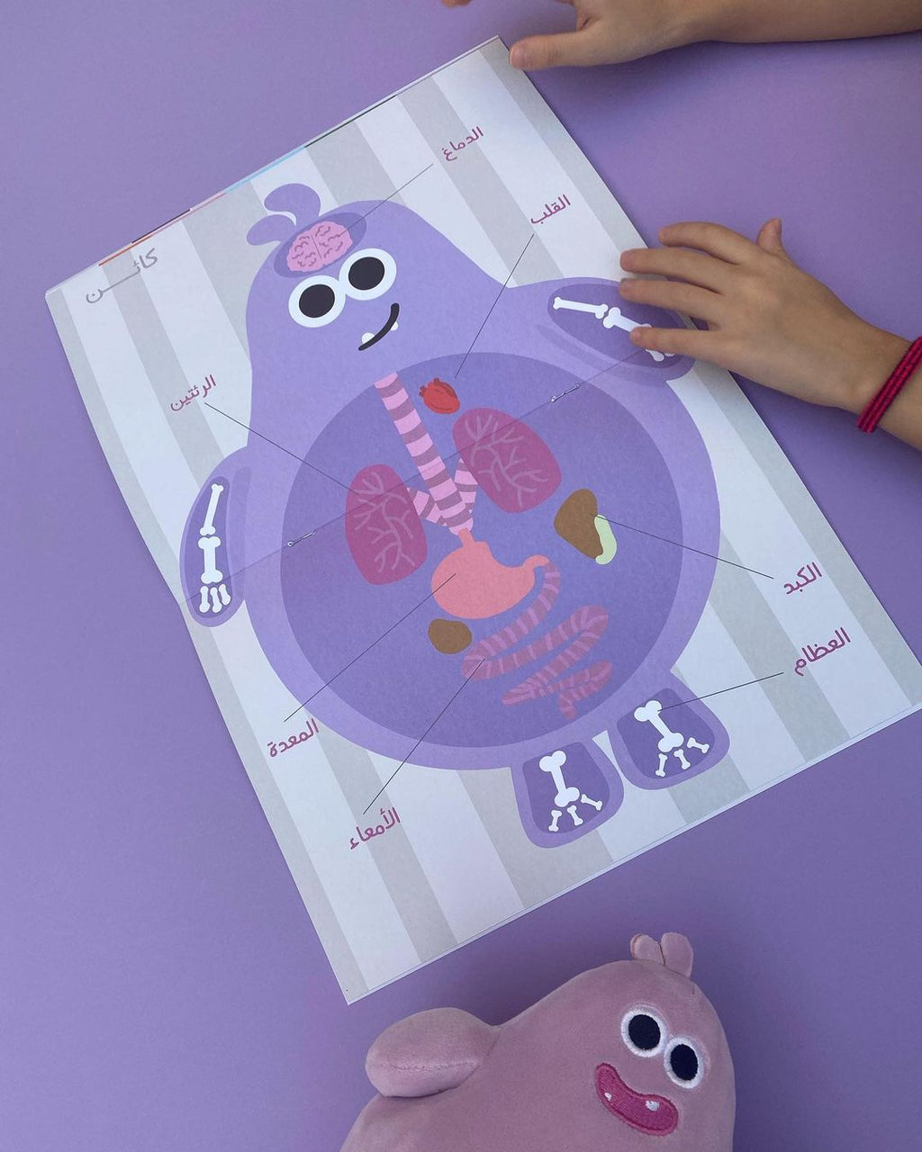 كائن - كتيب جسم الإنسان